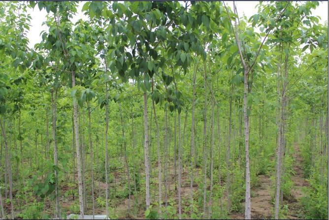 陜西橡膠制品 陜西橡膠制品