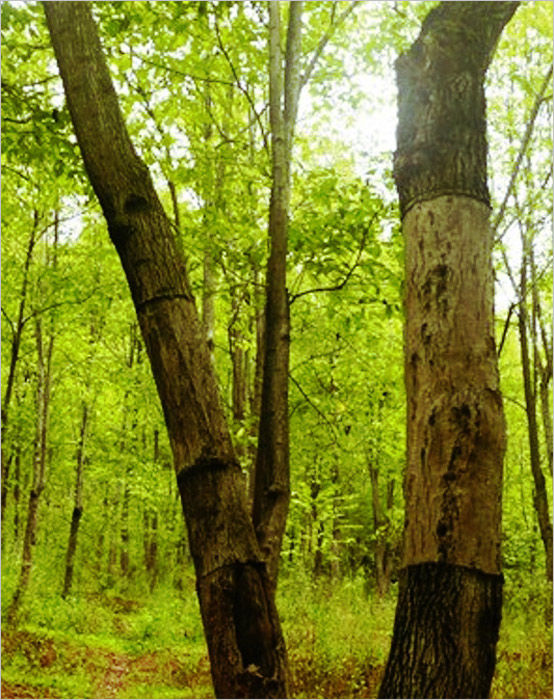陜西橡膠制品 陜西橡膠制品
